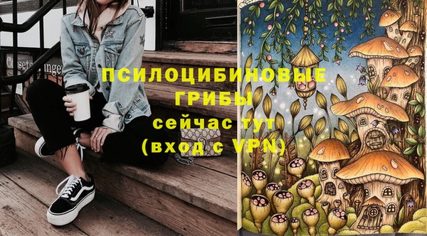 прущий лед Армянск